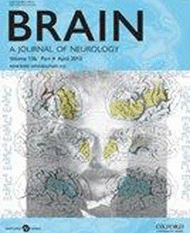 The cerebral cortex of Albert Einstein